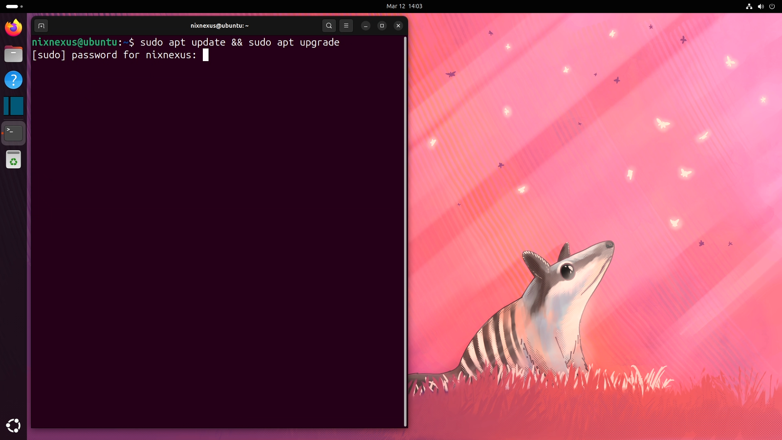sudo apt update && sudo apt upgrade